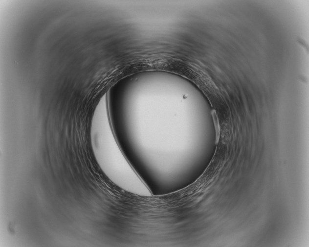 X0000091541298200708171002