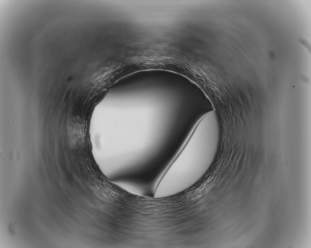 X0000091541300200708171002