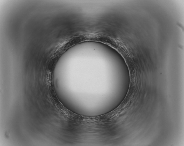 X0000091541301200708171002