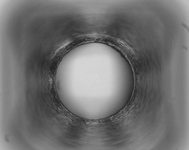 X0000091541302200708171002
