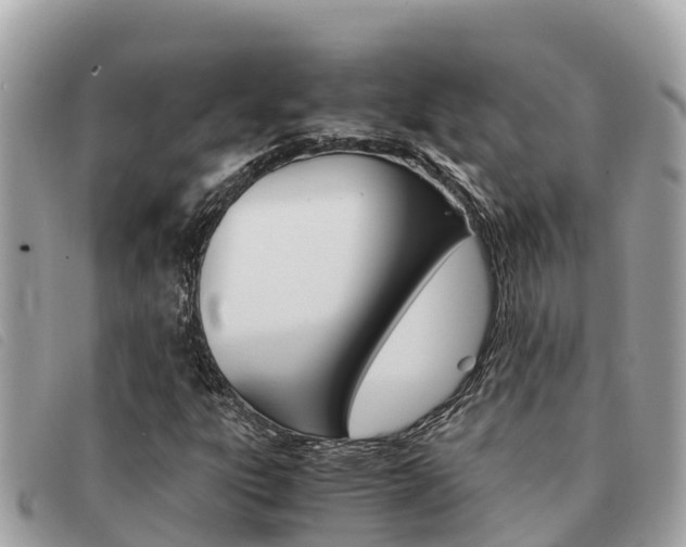 X0000091541303200708171002
