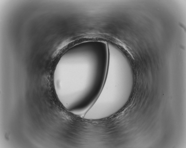 X0000091541304200708171002