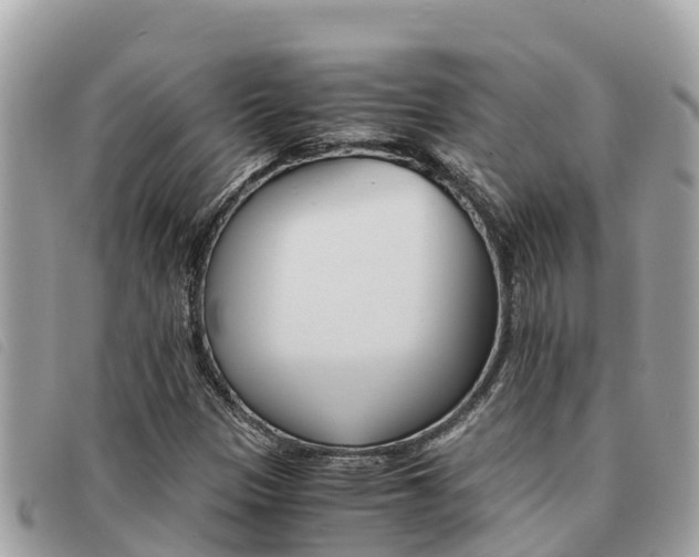 X0000091541305200708171002