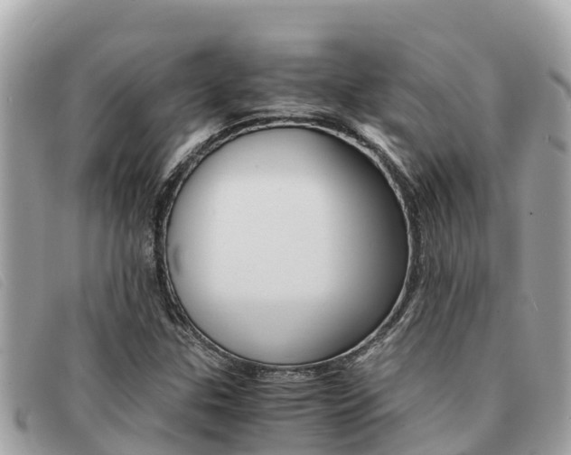 X0000091541307200708171002