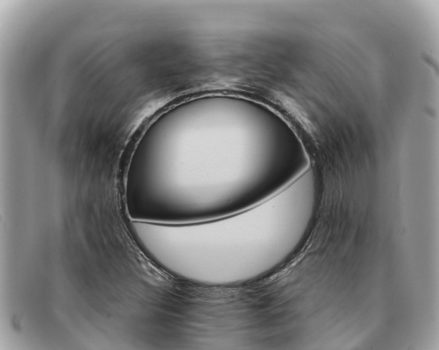 X0000091541308200708171002