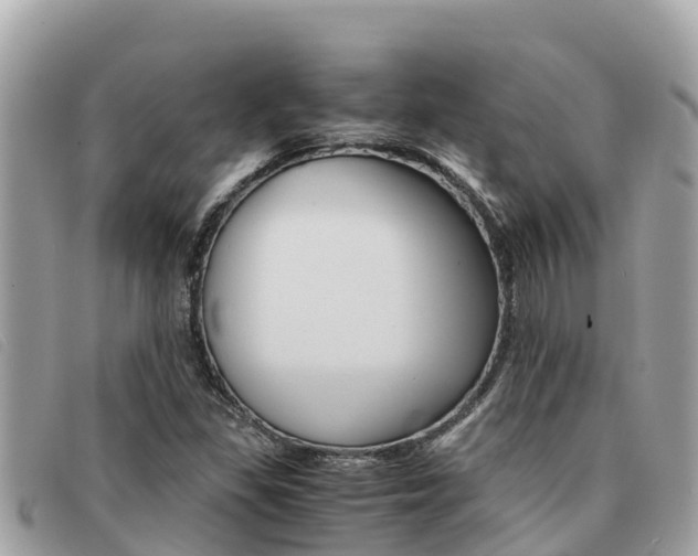 X0000091541309200708171002