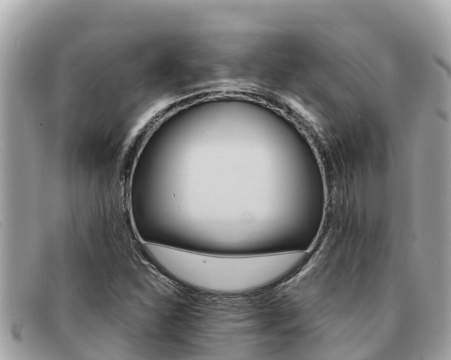 X0000091541310200708171002