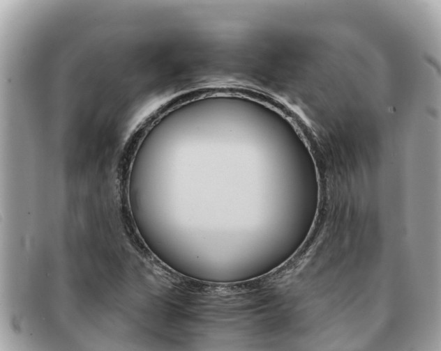 X0000091541311200708171002