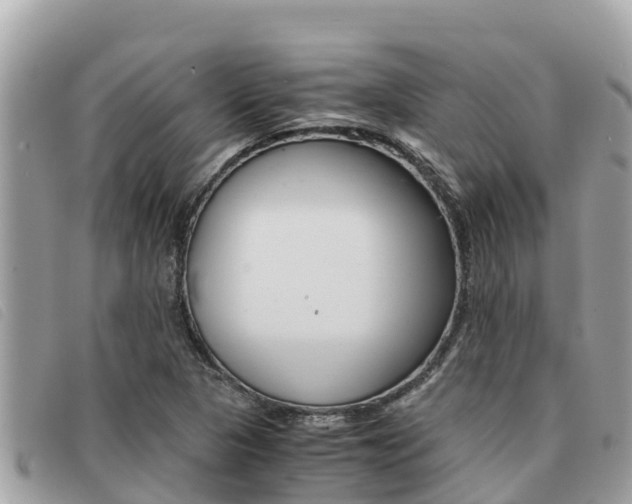X0000091541313200708171002