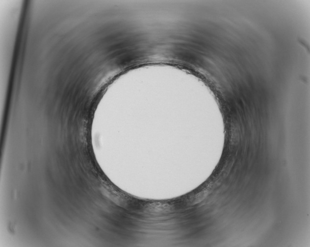 X0000091541314200708171002