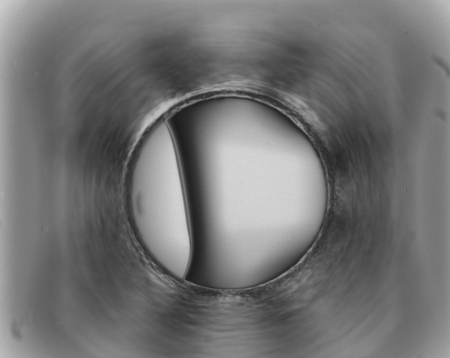 X0000091541316200708171002
