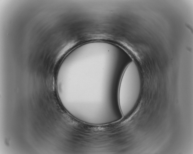 X0000091541317200708171002