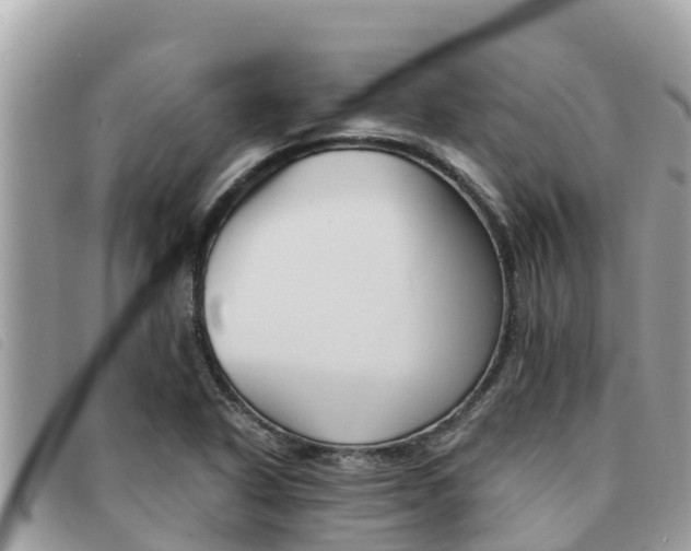 X0000091541318200708171002