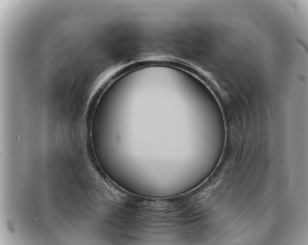 X0000091541319200708171002