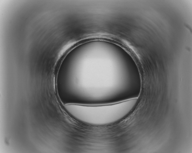 X0000091541320200708171002