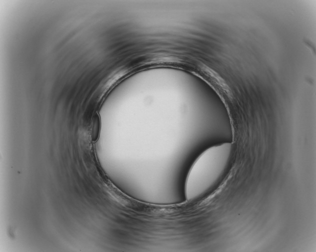 X0000091541321200708171002