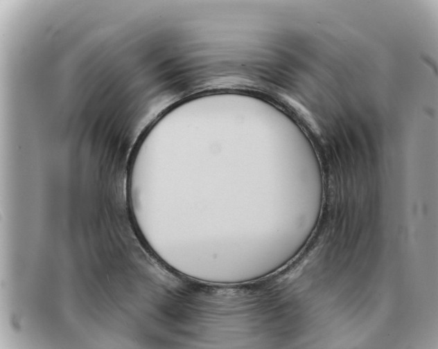 X0000091541322200708171002