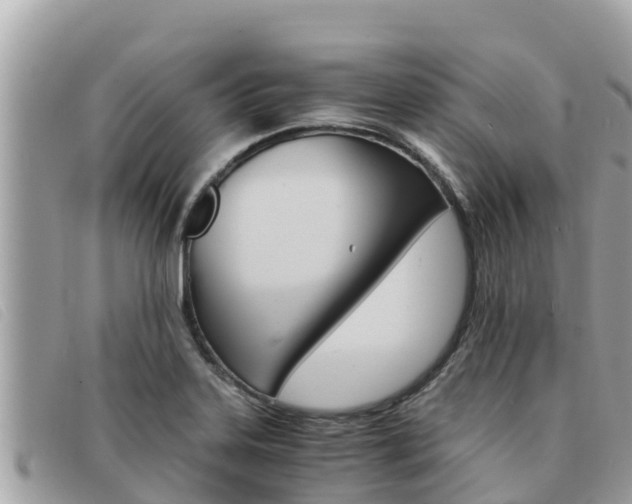 X0000091541323200708171002