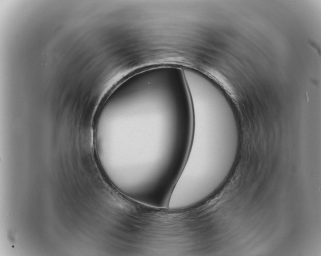X0000091541324200708171002