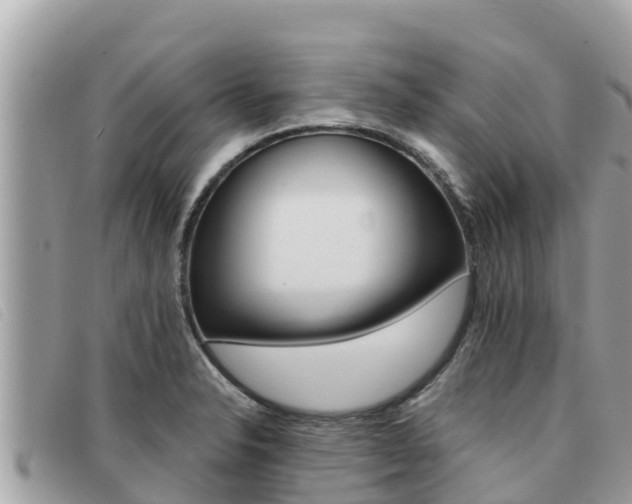 X0000091541326200708171002