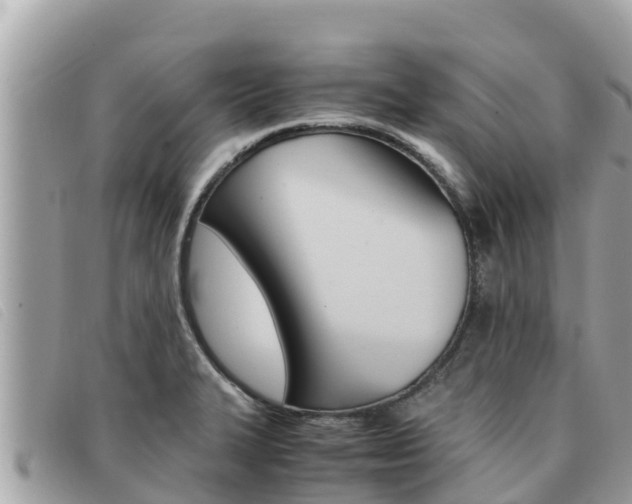 X0000091541327200708171002