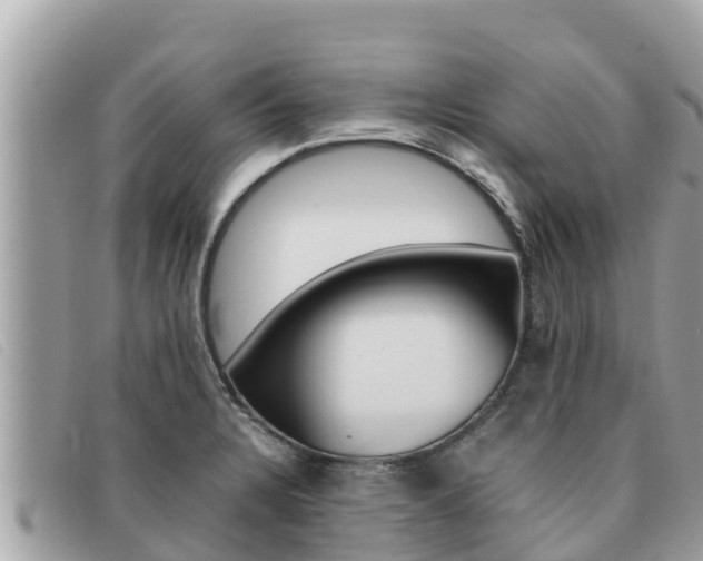 X0000091541328200708171002