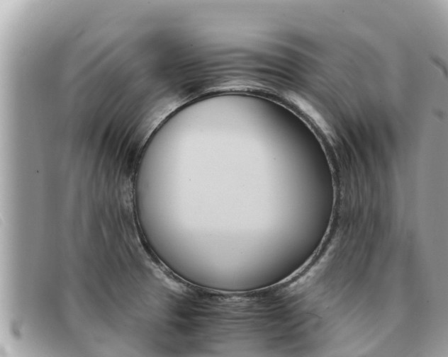 X0000091541329200708171002