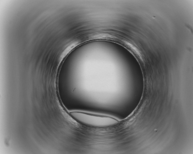 X0000091541330200708171002