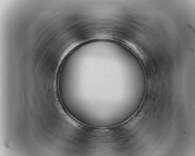 X0000091541331200708171002