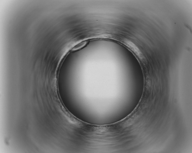 X0000091541332200708171002