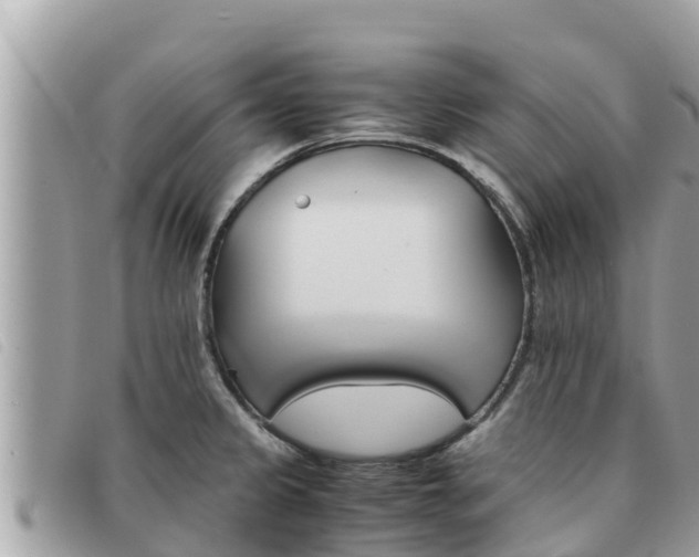 X0000091541333200708171002