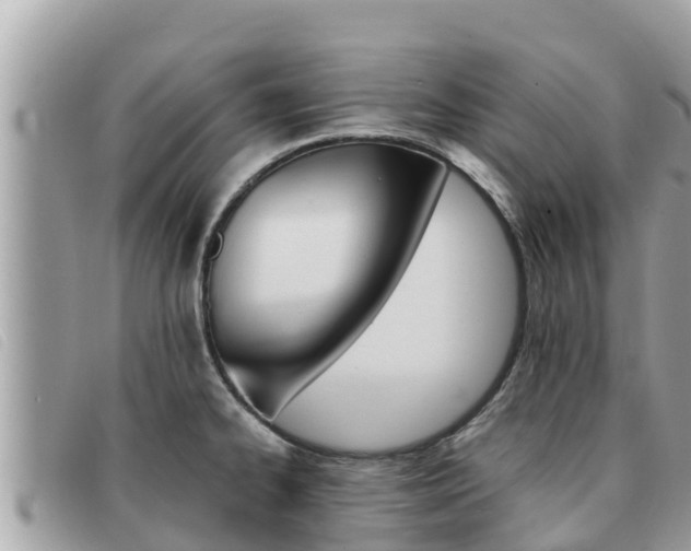 X0000091541334200708171002