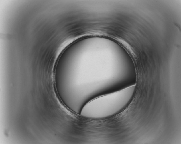 X0000091541335200708171002