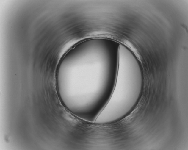 X0000091541336200708171002