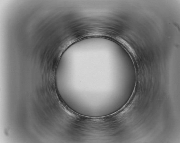 X0000091541337200708171002
