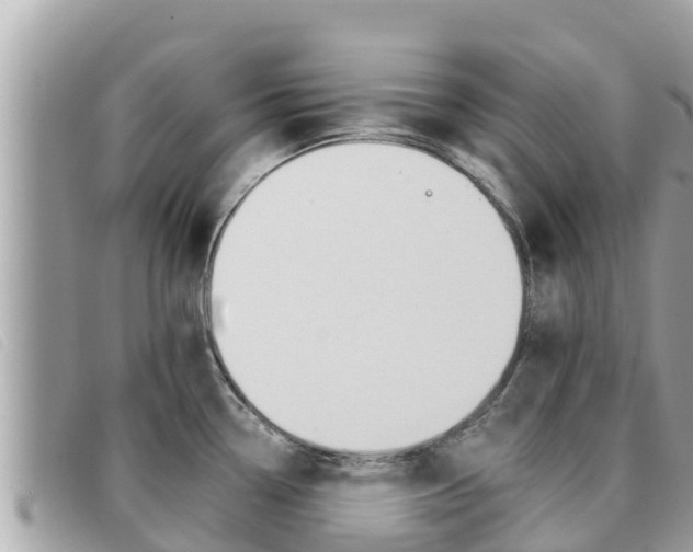 X0000091541338200708171002