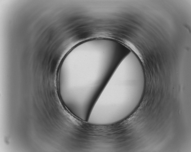 X0000091541339200708171002