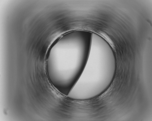 X0000091541340200708171002