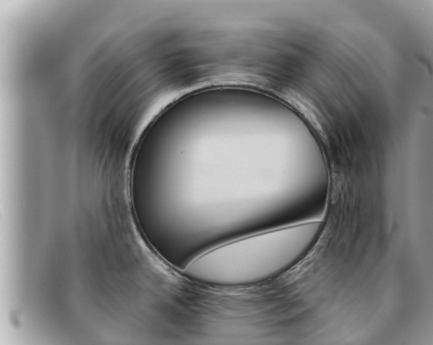 X0000091541342200708171002