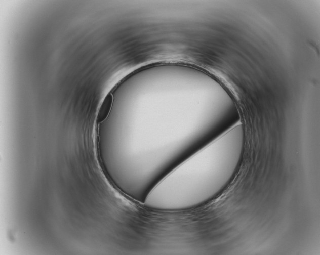 X0000091541343200708171002
