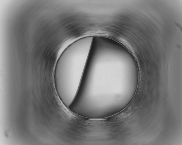 X0000091541344200708171002