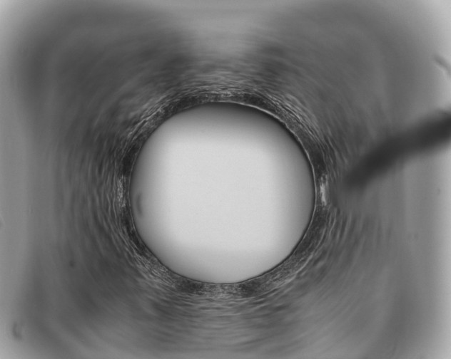 X0000091541347200708171002