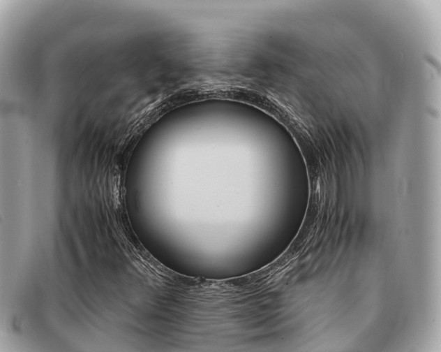 X0000091541348200708171002