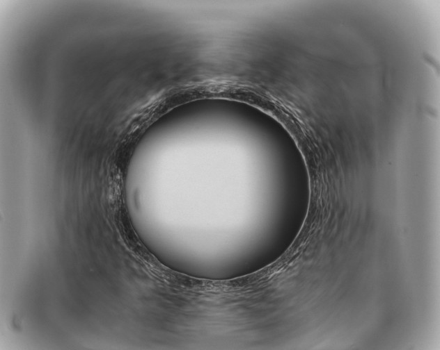 X0000091541349200708171002