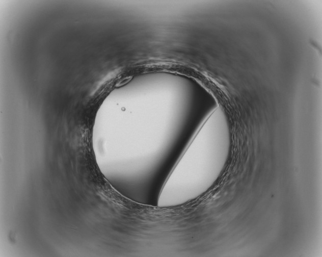 X0000091541351200708171002