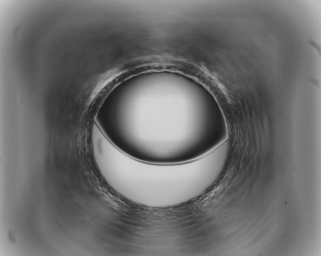 X0000091541352200708171002