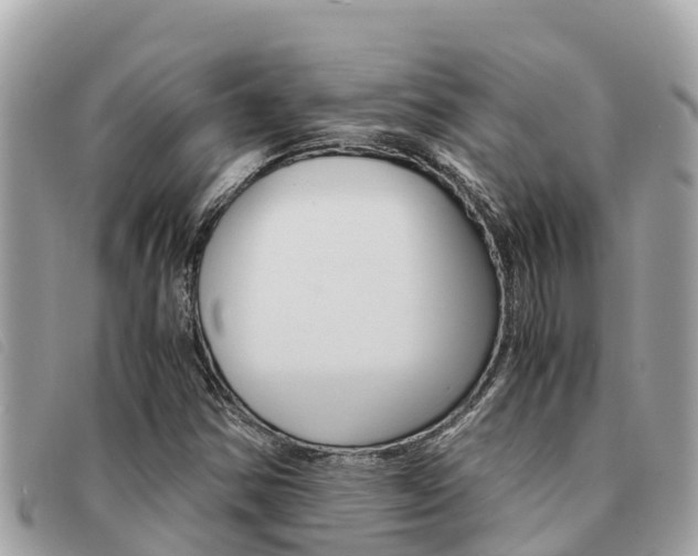 X0000091541354200708171002