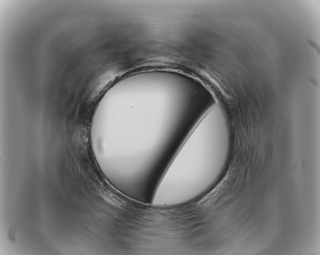X0000091541355200708171002