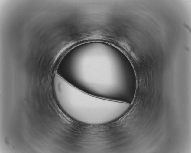 X0000091541356200708171002
