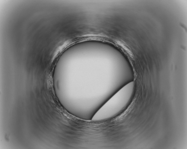 X0000091541357200708171002